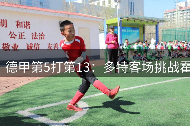 德甲第5打第13：多特客场挑战霍芬海姆，ESPN+直播